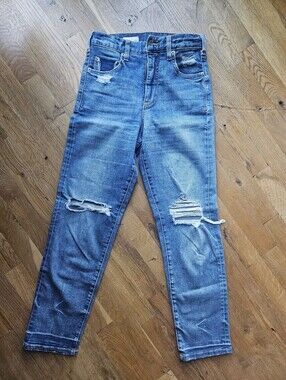 Pilcro Anthropologie Vintage Straight Jeans 26 Distressed Medium Wash